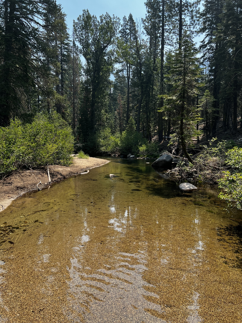 An image depicting the trail Clark Fork Trail and its surrounding area.