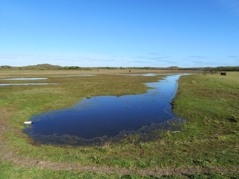 Slufferbollen and De Nederlanden Loop