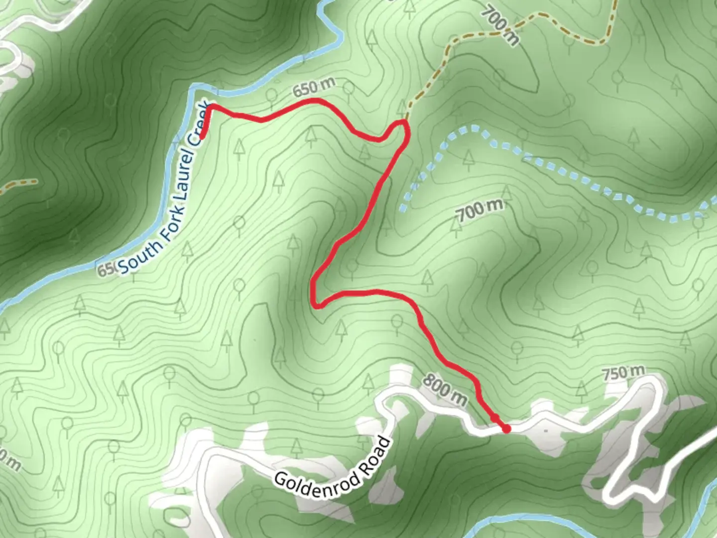 An image depicting the trail South Fork Laurel Creek from Goldenrod Road and its surrounding area.