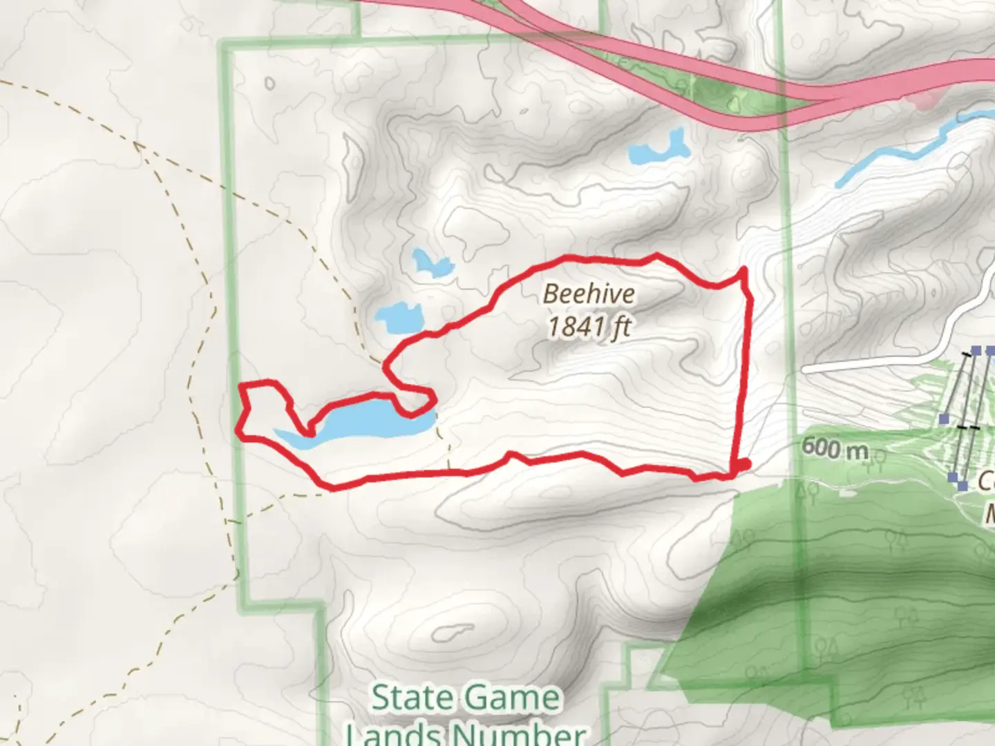 An image depicting the trail Beehive and Wolf Swamp Run Loop Trail and its surrounding area.