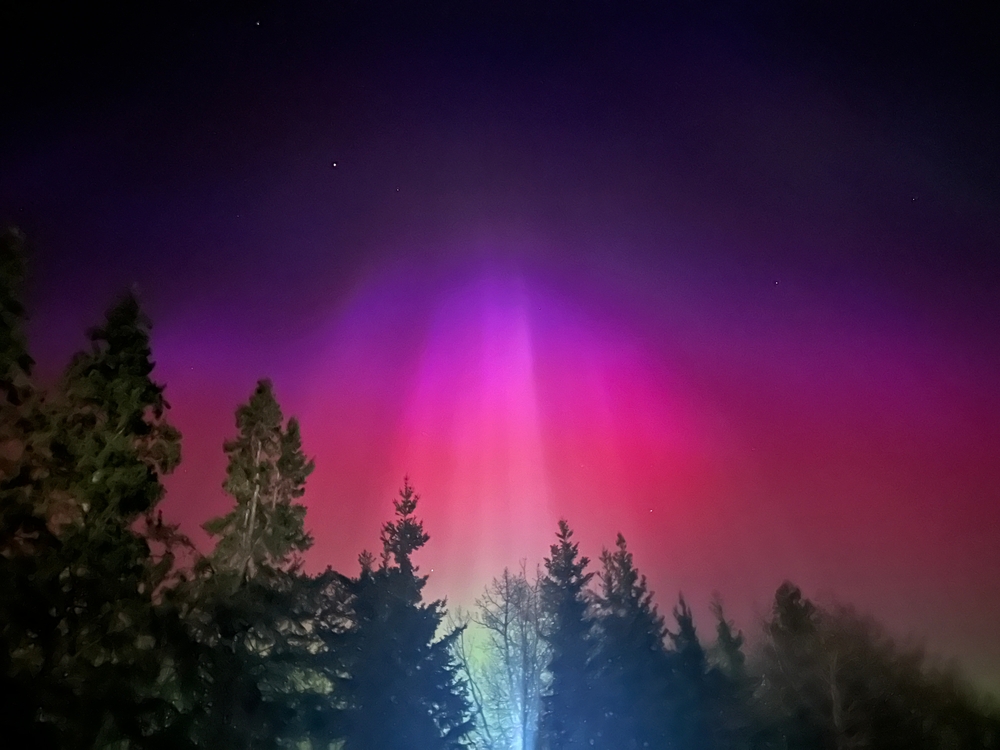 An image depicting the trail Elk Island National Park of Canada and its surrounding area.