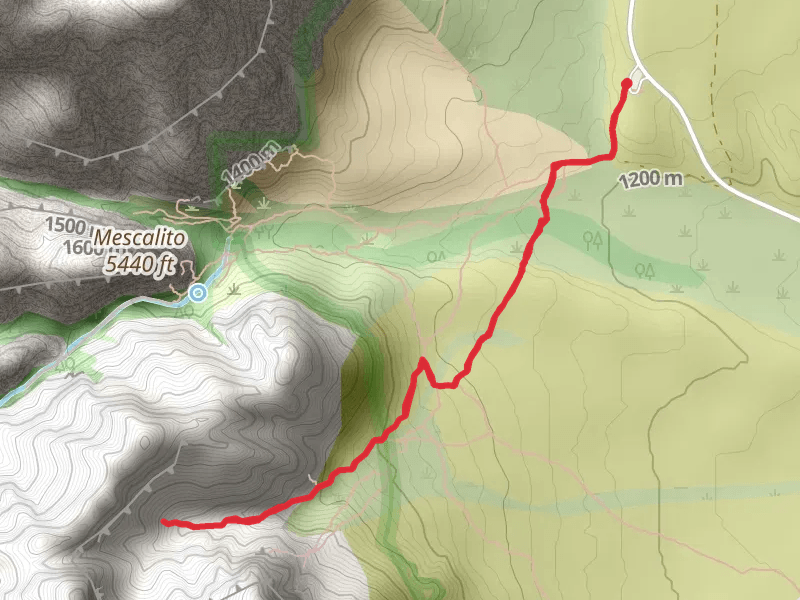 Pine Creek Trail Out and Back