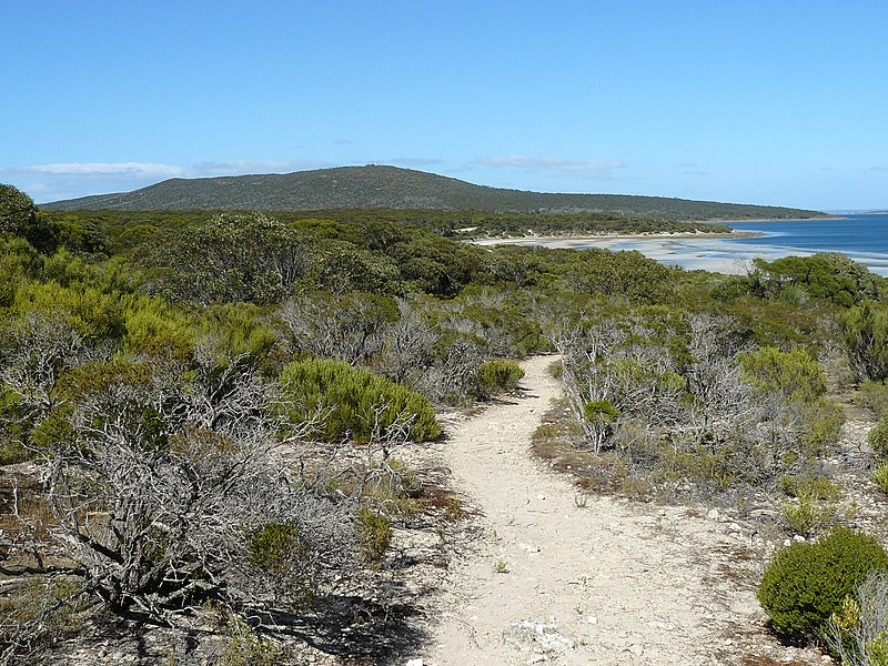 An image depicting the trail Lincoln National Park and its surrounding area.