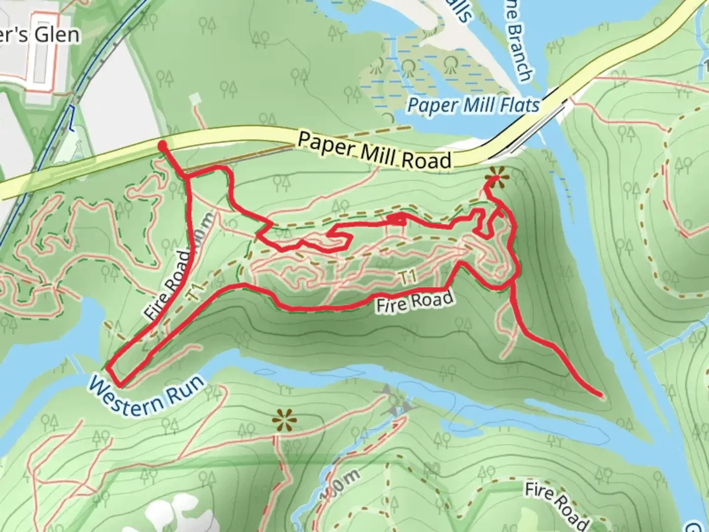 An image depicting the trail Fire Road and Gunpowder Falls Overlook Loop and its surrounding area.