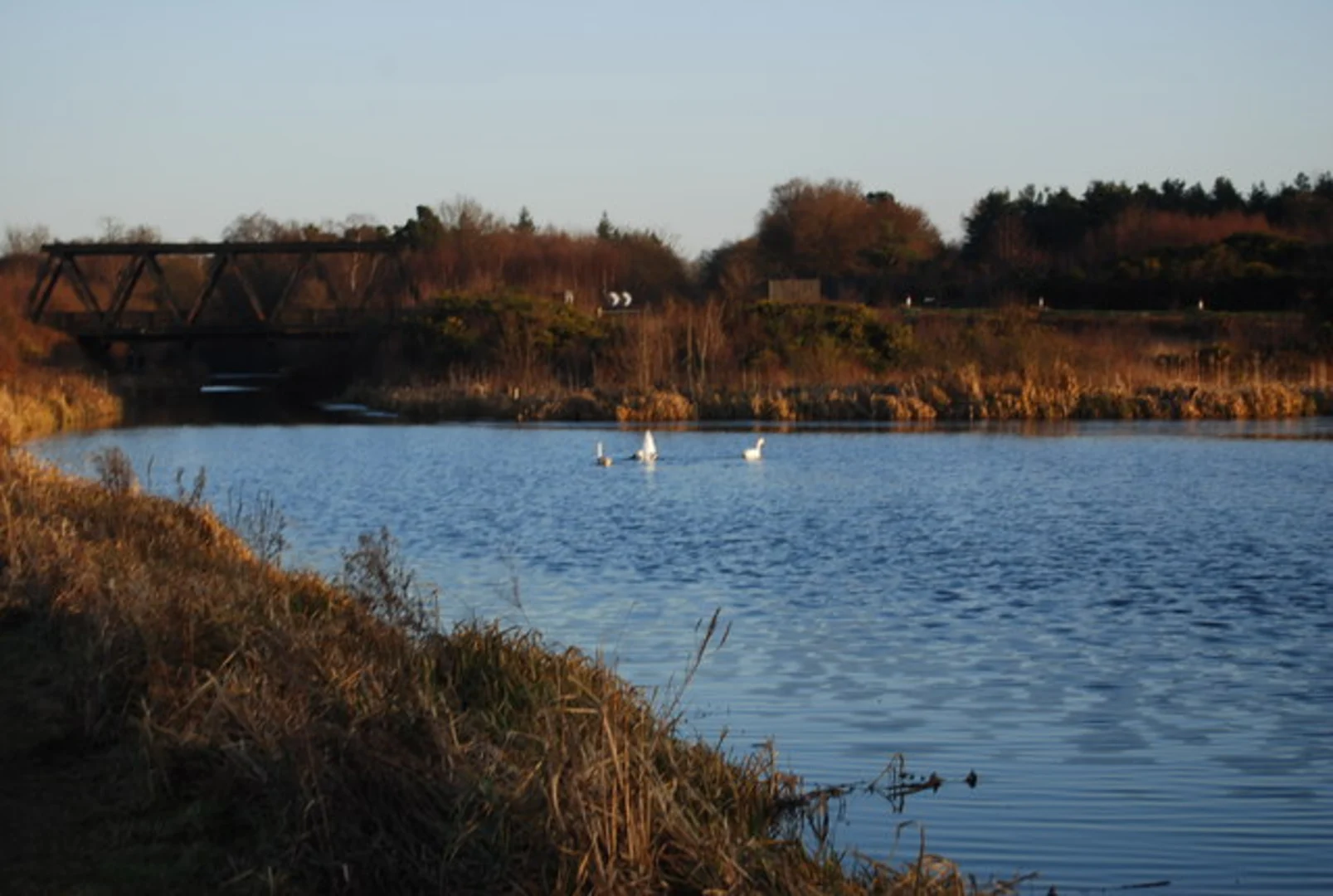An image depicting the trail Farnborough Circular Walk and its surrounding area.