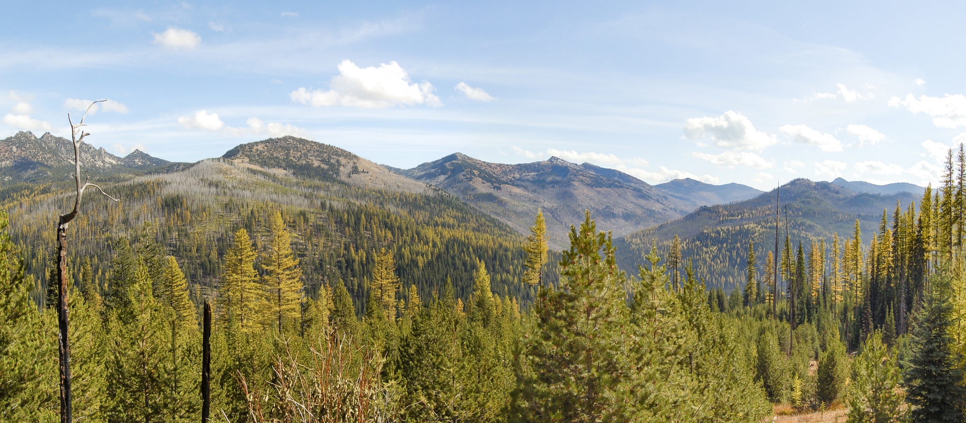 An image depicting the trail Elkhorn Crest Trail and its surrounding area.