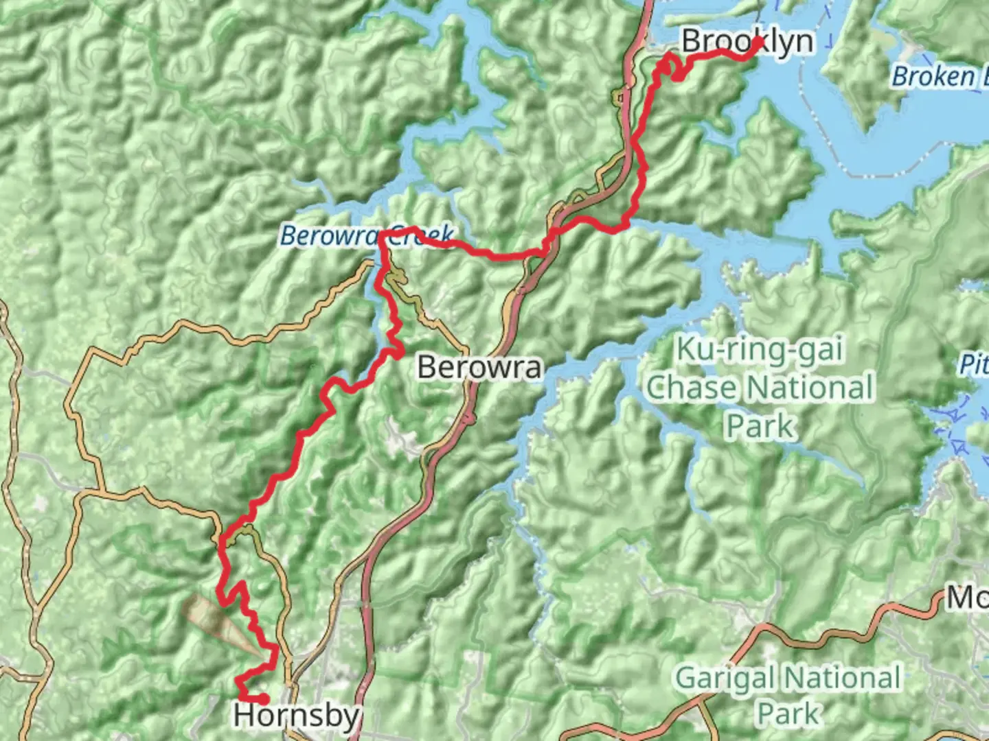 An image depicting the trail The Great North Walk 2 Day - Hornsby to Brooklyn and its surrounding area.