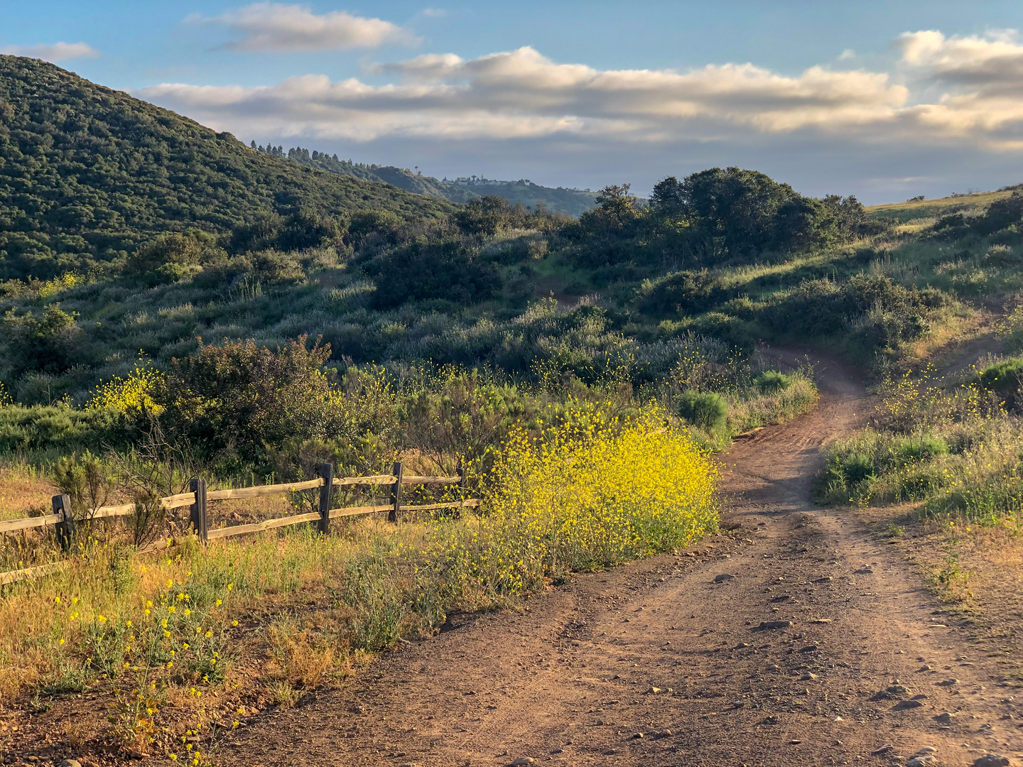 An image depicting the trail Peñasquitos Creek Loop from Canyonside Community Park and its surrounding area.