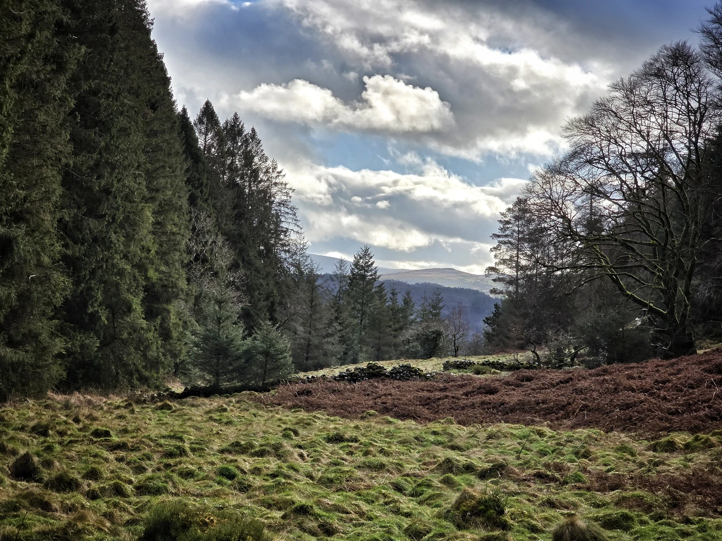 An image depicting the trail Two Lakes and its surrounding area.