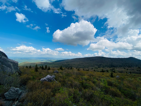 An image depicting the trail Wilburn Ridge via Appalachian Trail and its surrounding area.