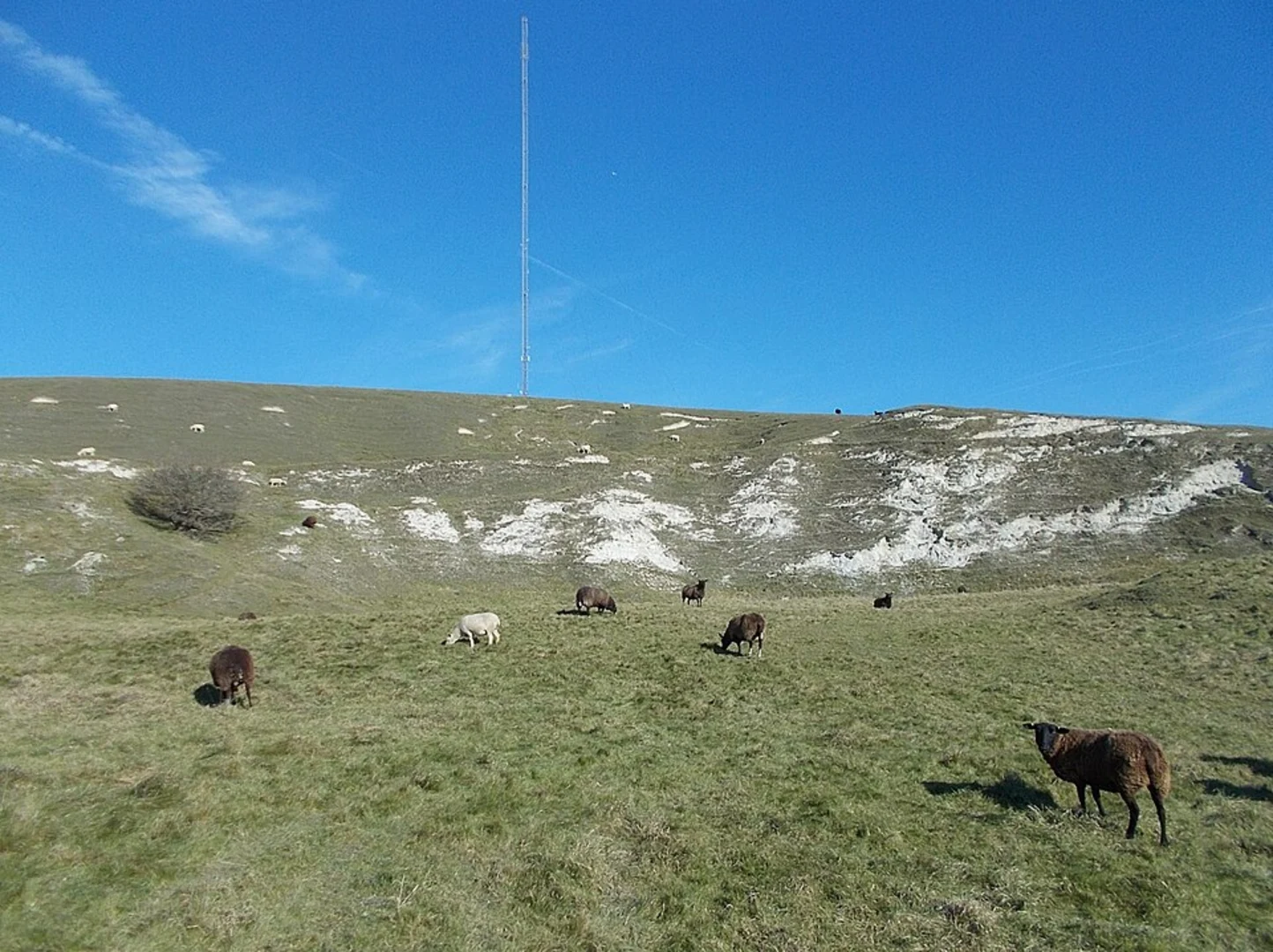 An image depicting the trail Medham to Brighstone Walk and its surrounding area.