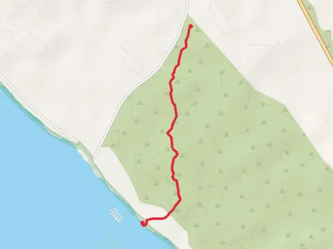 Bonney Reserve Nature Trail