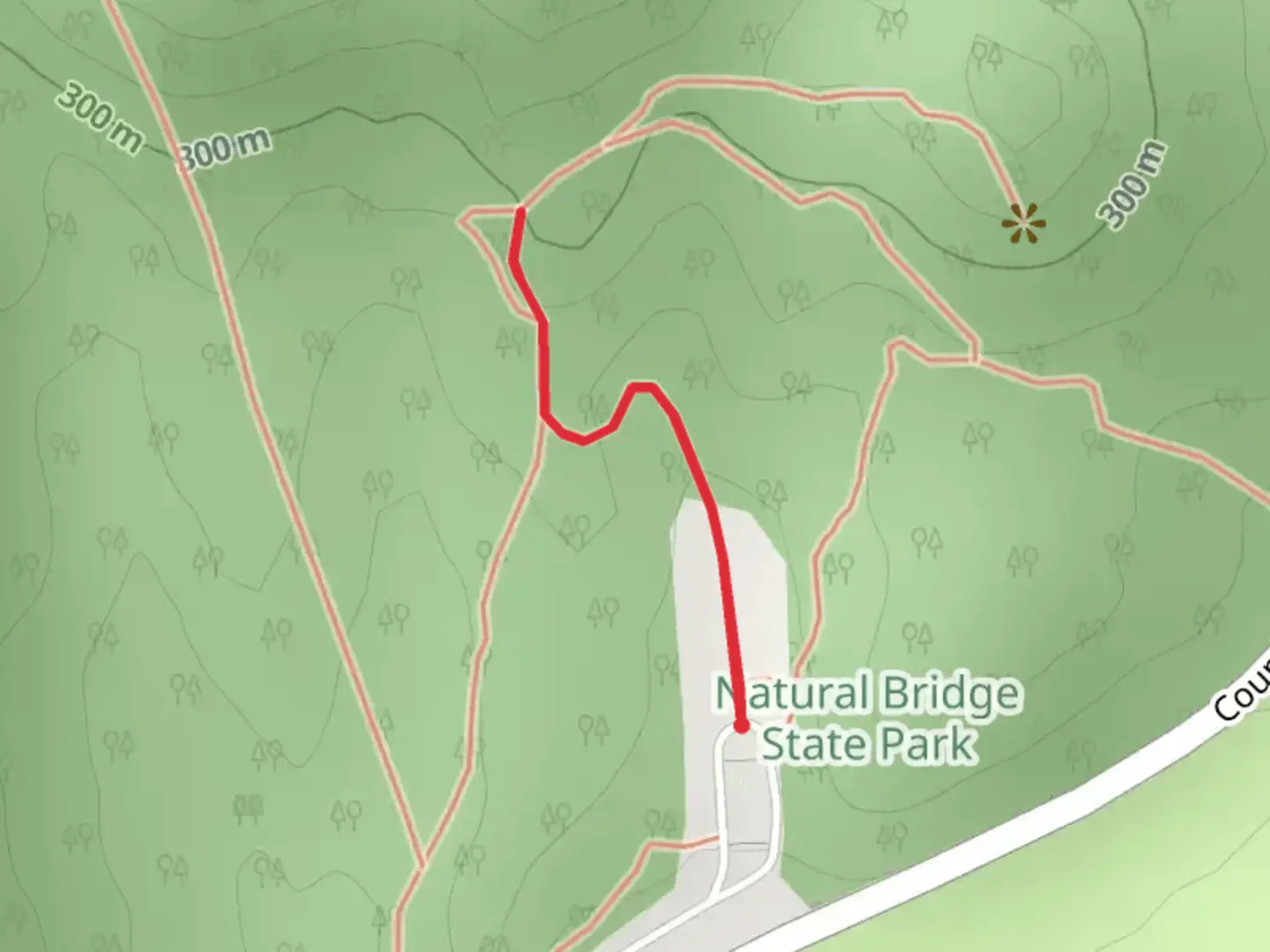 An image depicting the trail Natural Bridge State Park Short Walk and its surrounding area.
