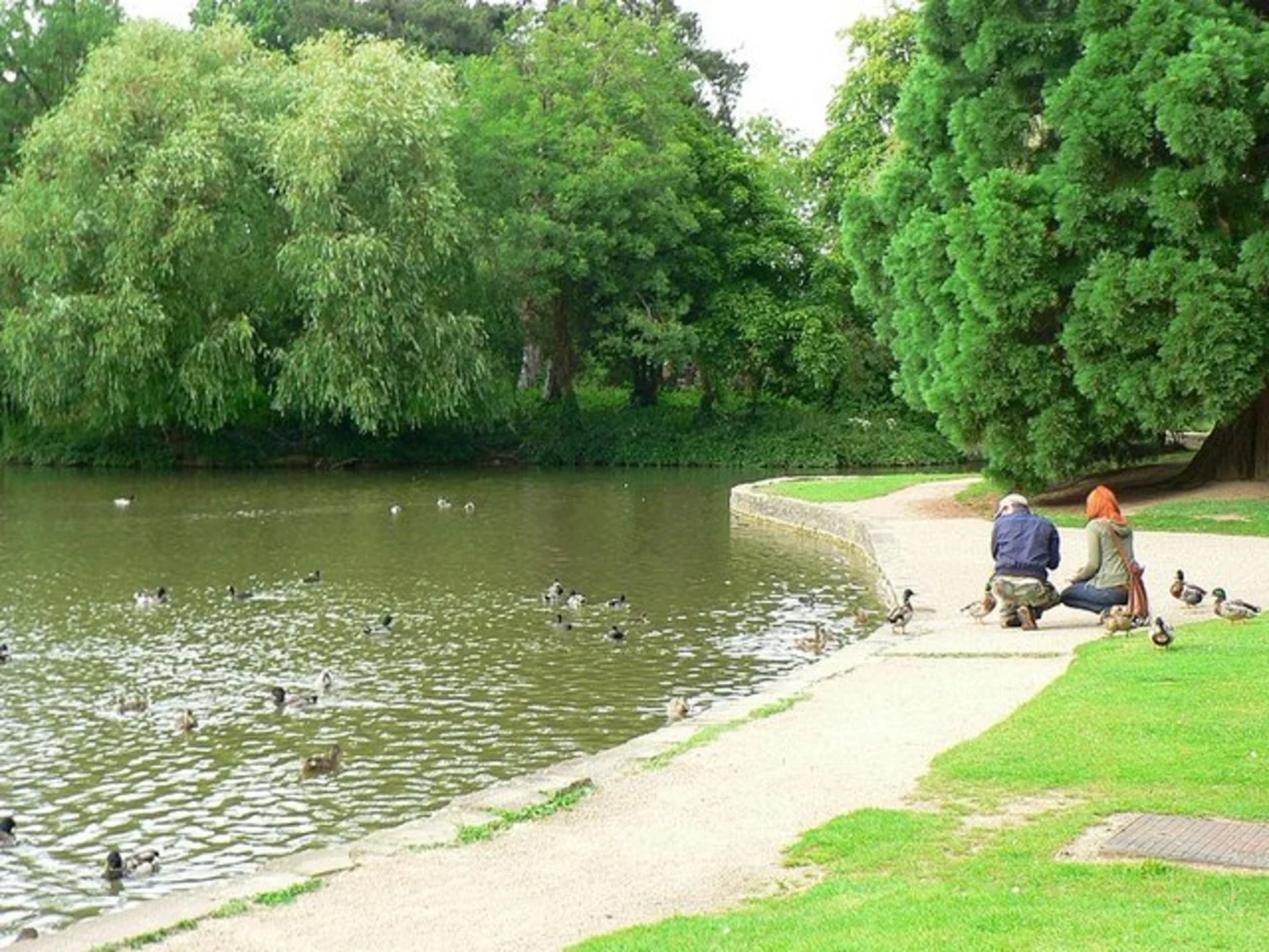 An image depicting the trail Bedford Park Loop and its surrounding area.