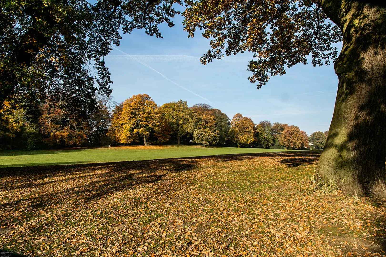 An image depicting the trail Jenischpark Loop and its surrounding area.