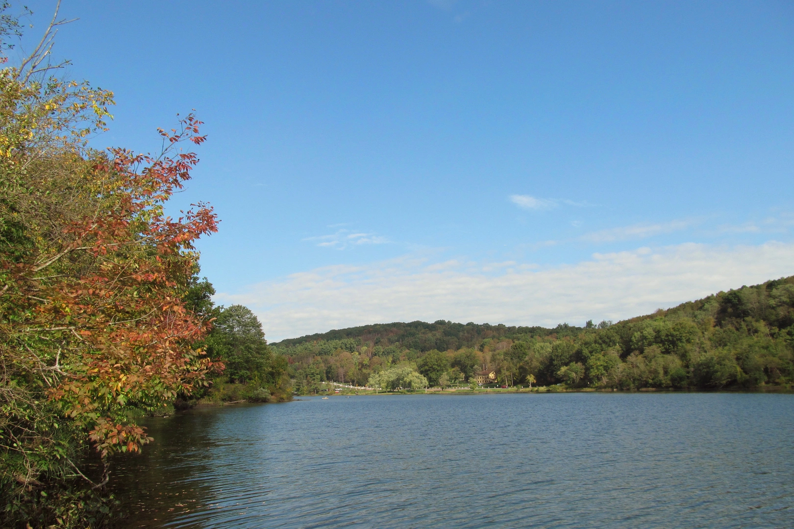 An image depicting the trail Purple Trail Loop via Ingomar Road and its surrounding area.