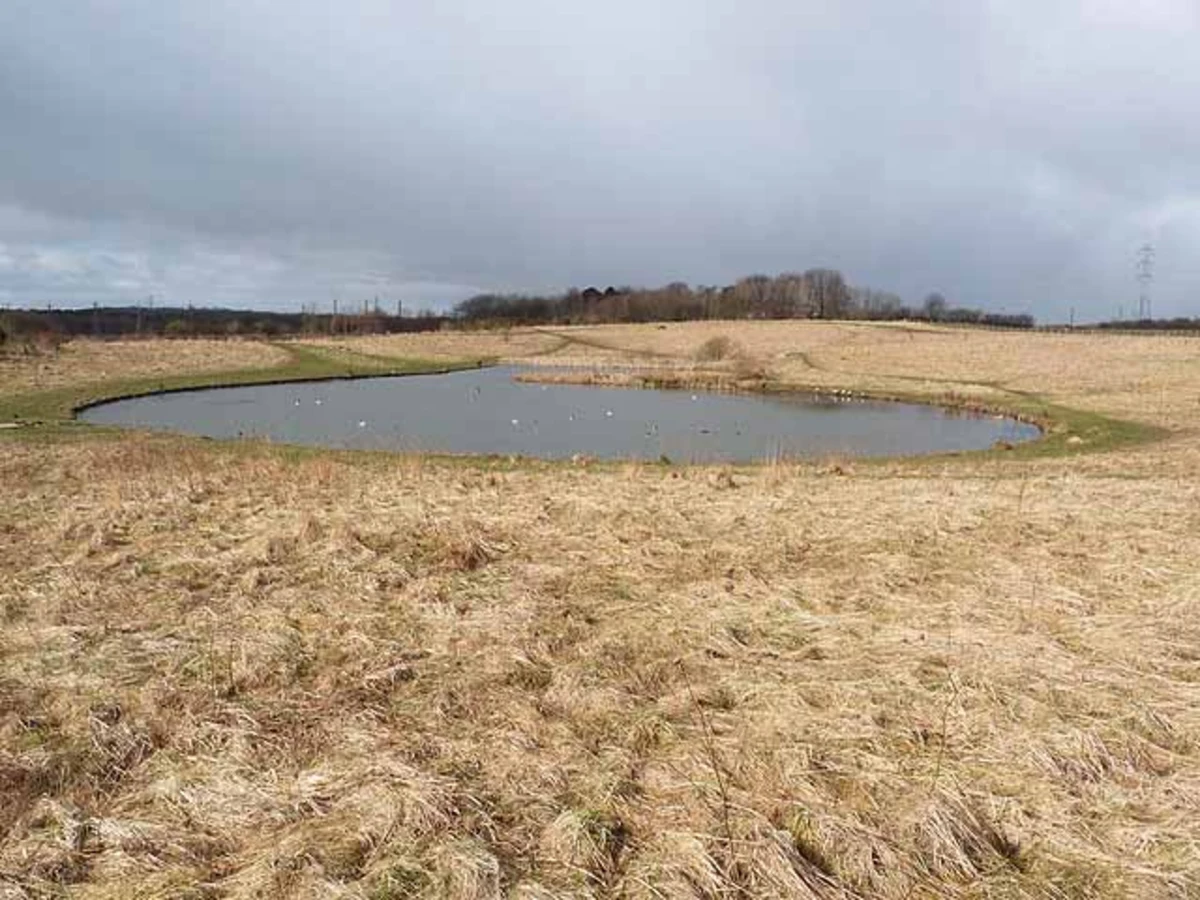 Rising Sun Country Park and Swallow Pond Loop
