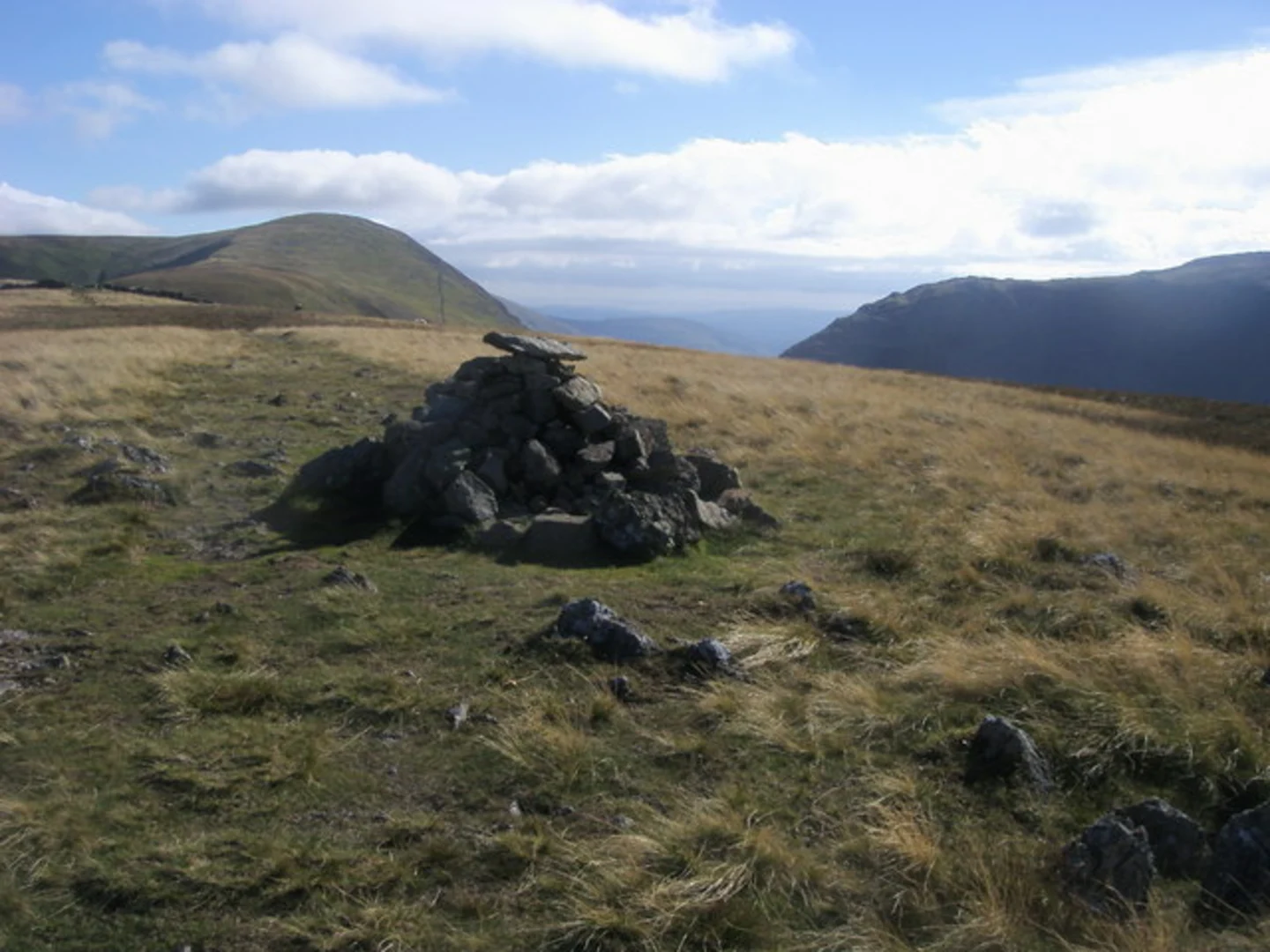 An image depicting the trail Forestside Plantation Loop and its surrounding area.