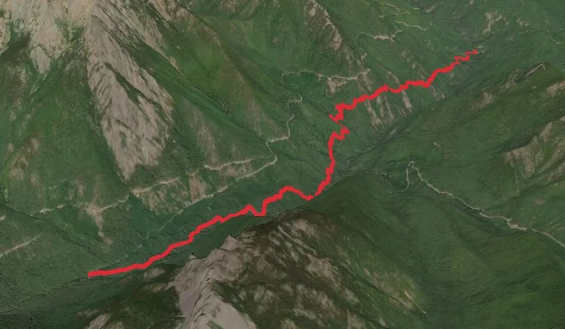 An image depicting the trail Lower Dungeness Trail and its surrounding area.