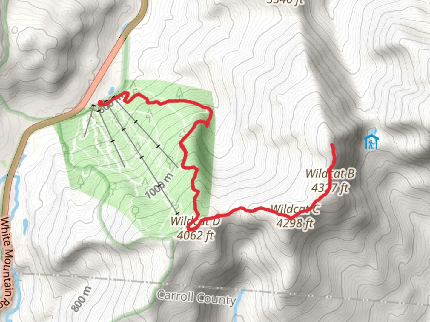 An image depicting the trail Wildcat Mountain via Stray Cat Trail and its surrounding area.