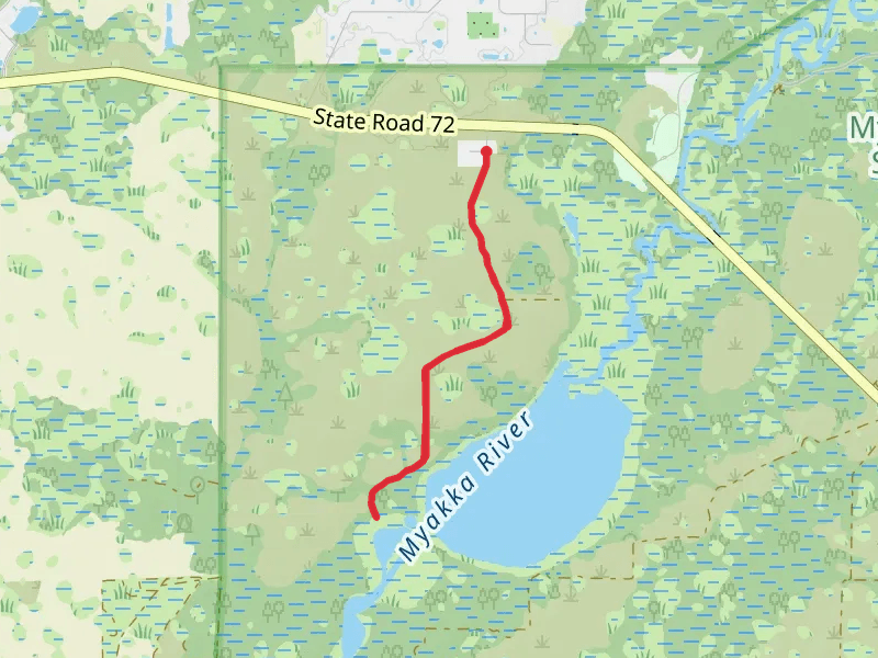 Myakka River from Lower Lake Court