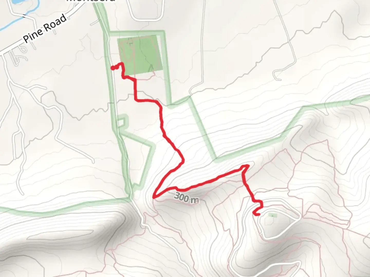 An image depicting the trail Rock Scree Trail and its surrounding area.