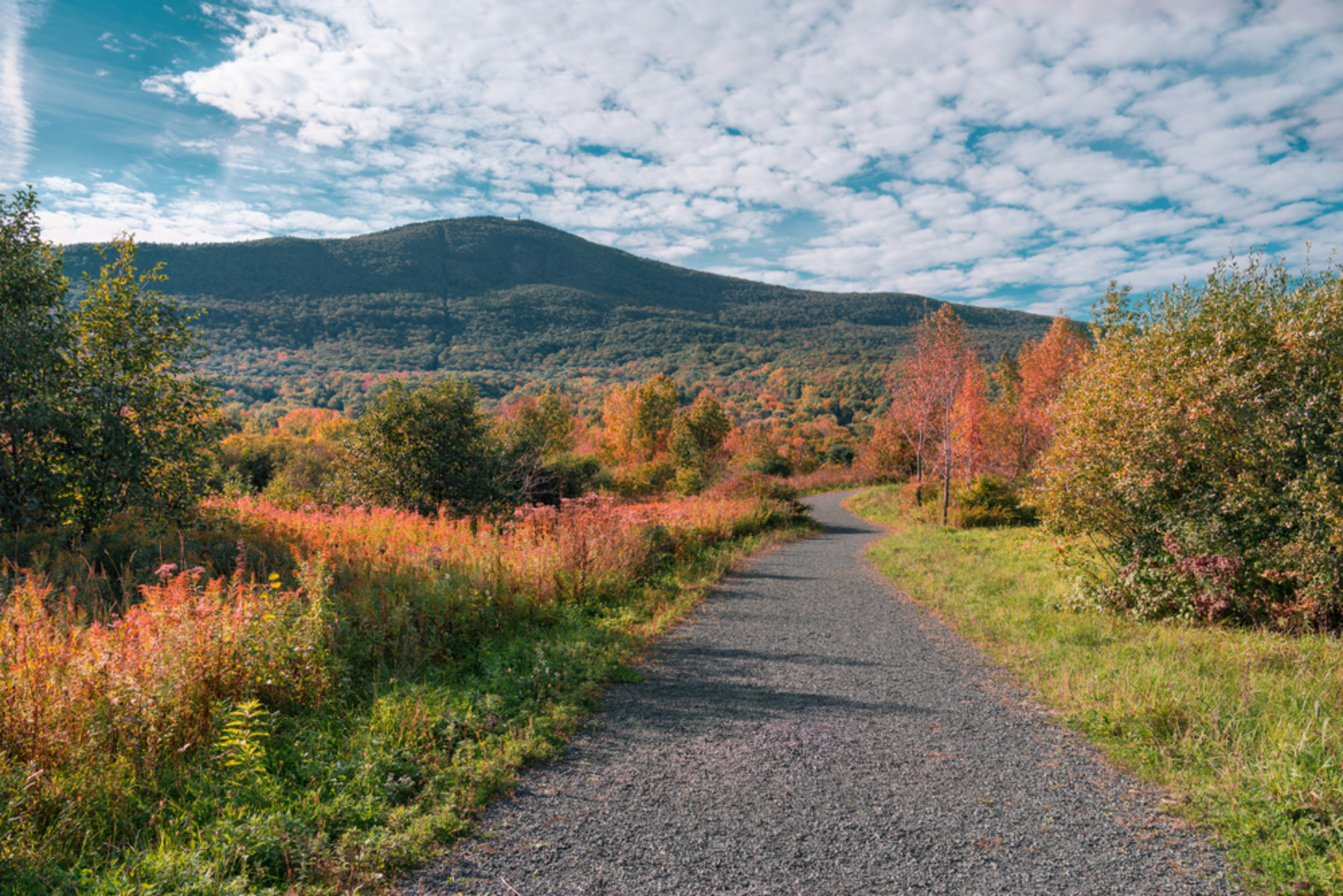 An image depicting the trail Congers Lake Loop and its surrounding area.