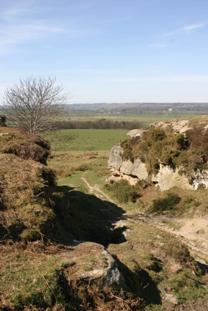 An image depicting the trail Bolam Lake and Shaftoe Crags Loop and its surrounding area.