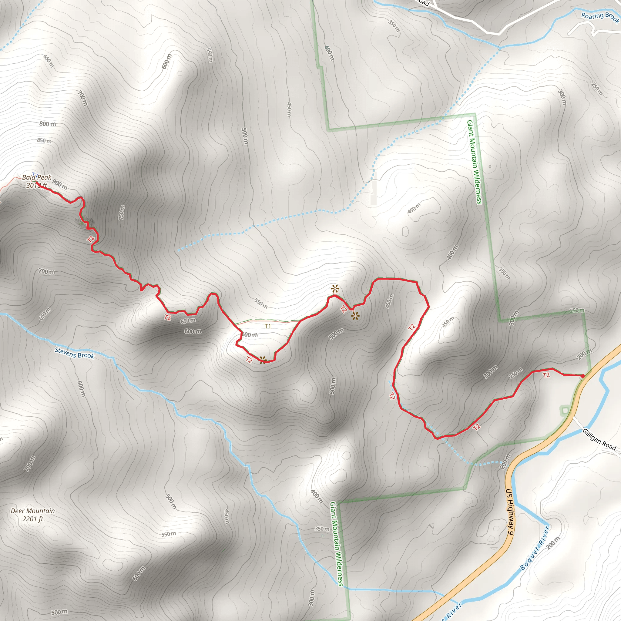 Bald Peak via East Trail mobile static map