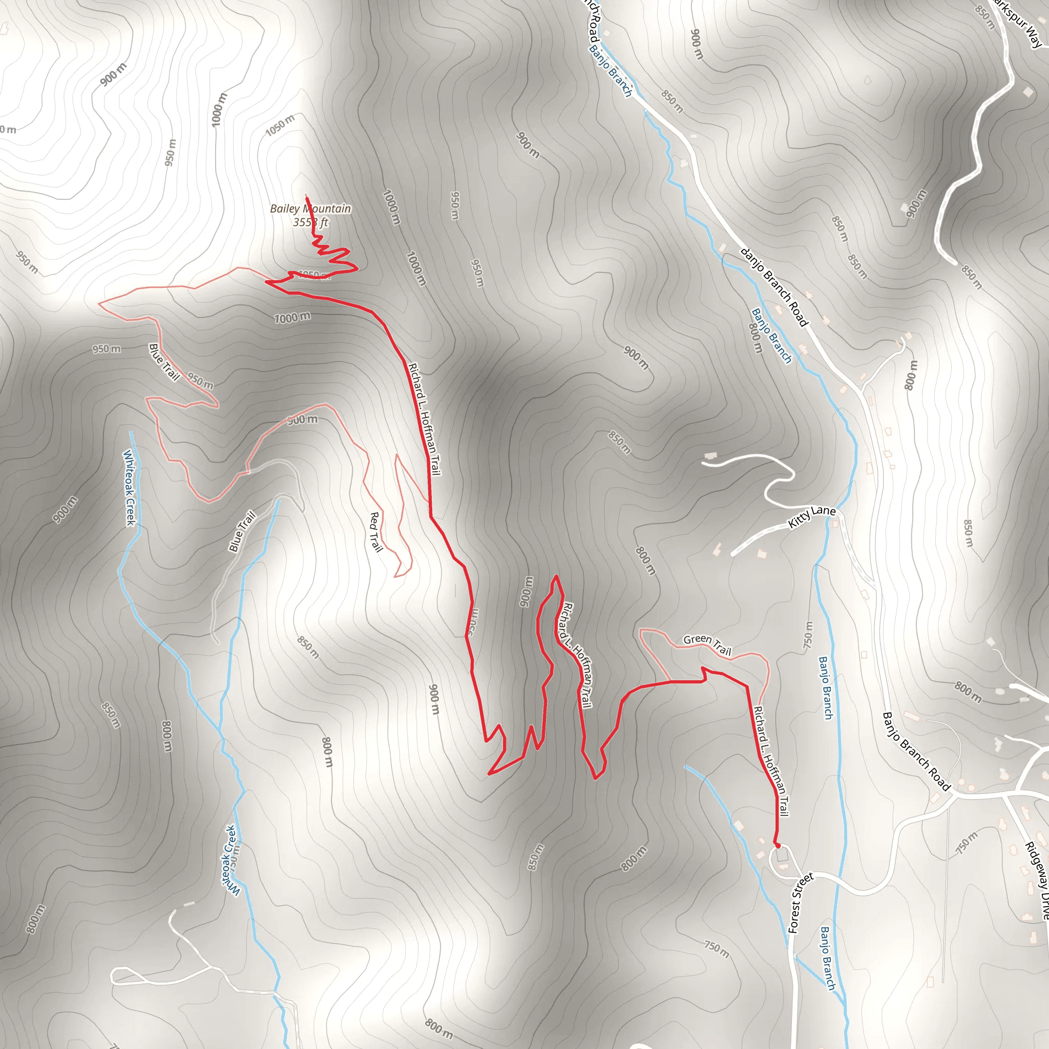 Bailey Mountain via Richard L Hoffman Trail mobile static map
