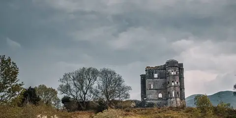 An image depicting the trail Seefin Loop and its surrounding area.