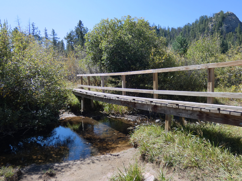 An image depicting the trail Mount Margaret Trail and its surrounding area.