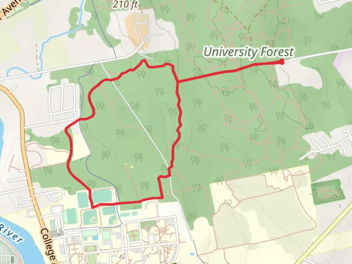 An image depicting the trail Dorian Trail Loop - University Forest and its surrounding area.