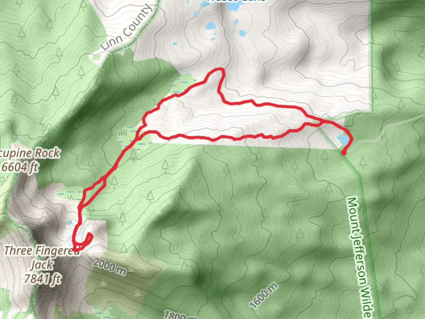An image depicting the trail Canyon Creek Trail, Glacier View Trail Loop and its surrounding area.