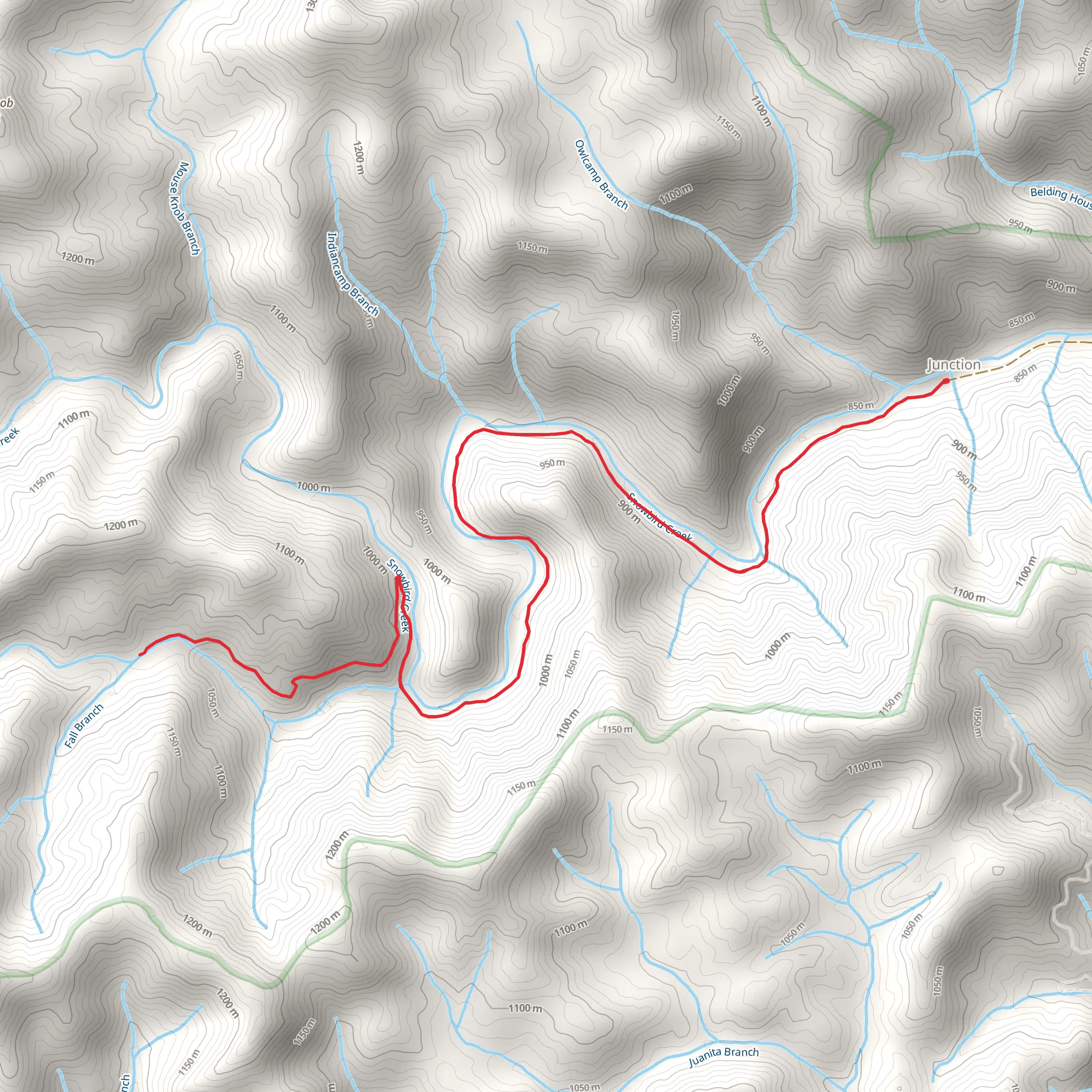 Sassafras Fall and Creek via Snowbird Creek Trail mobile static map