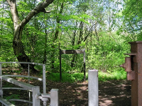 Hopwood's and Lord's Wood Loop