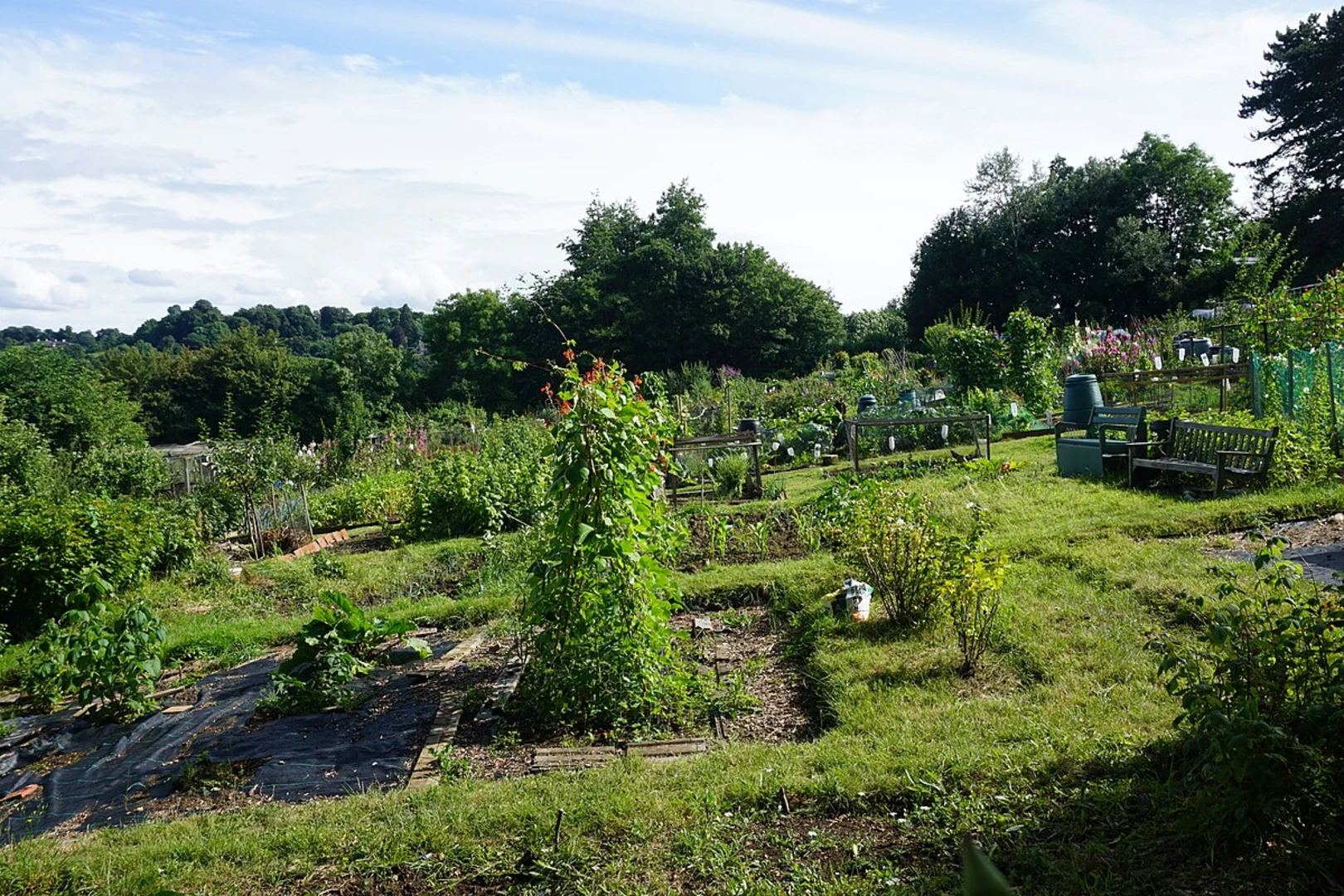 An image depicting the trail Lyncombe Hill Loop - Winsford and its surrounding area.