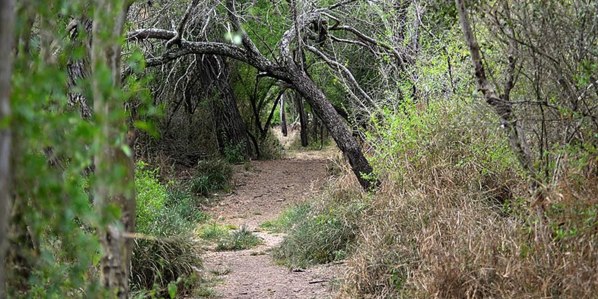An image depicting the trail Santa Ana Loop Trail and its surrounding area.