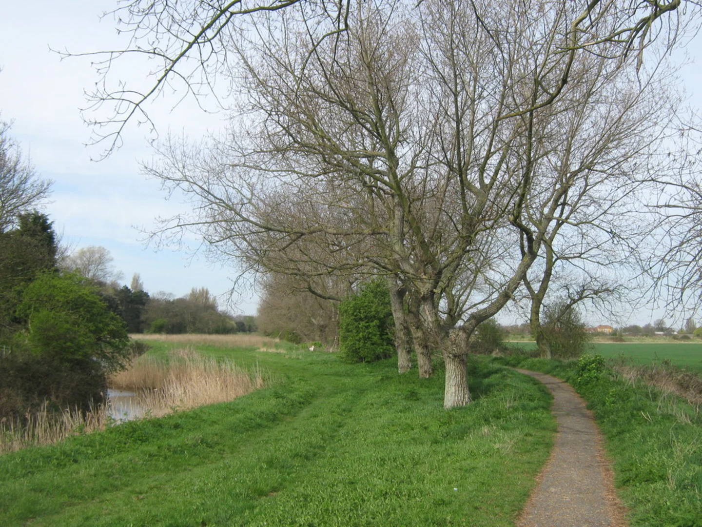 An image depicting the trail Sandwich Loop and its surrounding area.