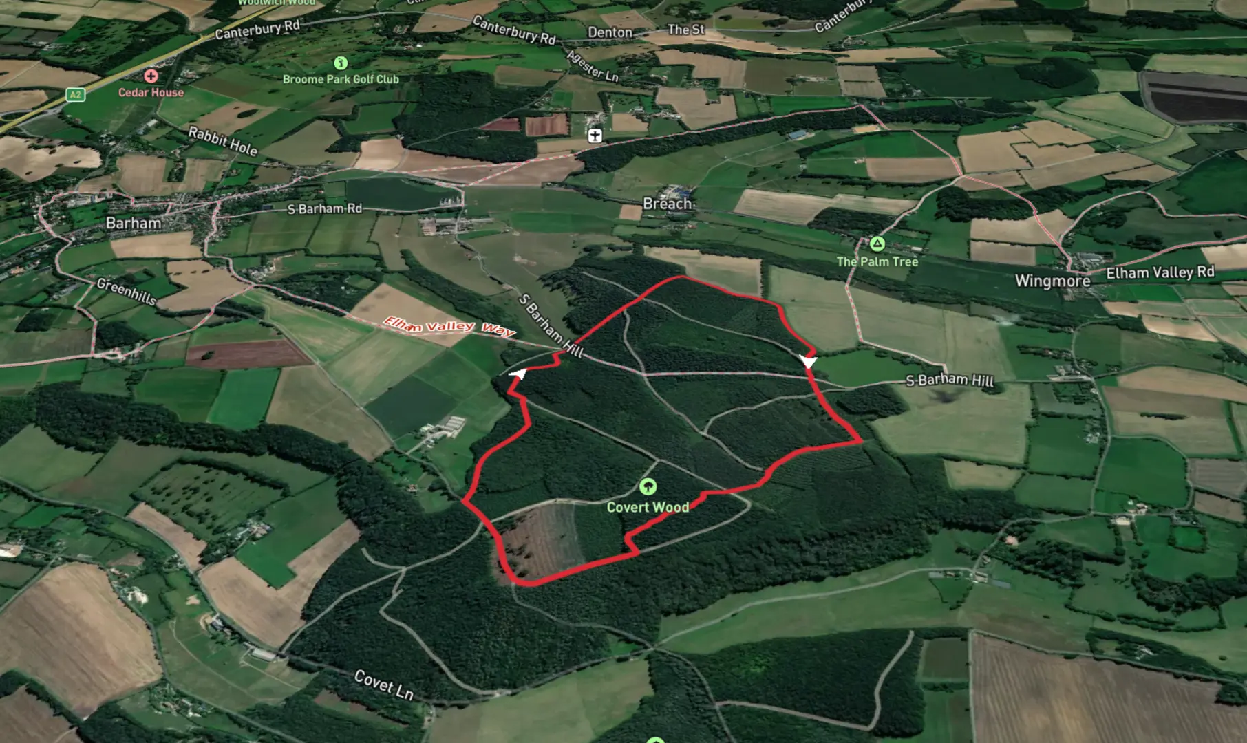 An image depicting the trail Covert Wood Loop and its surrounding area.