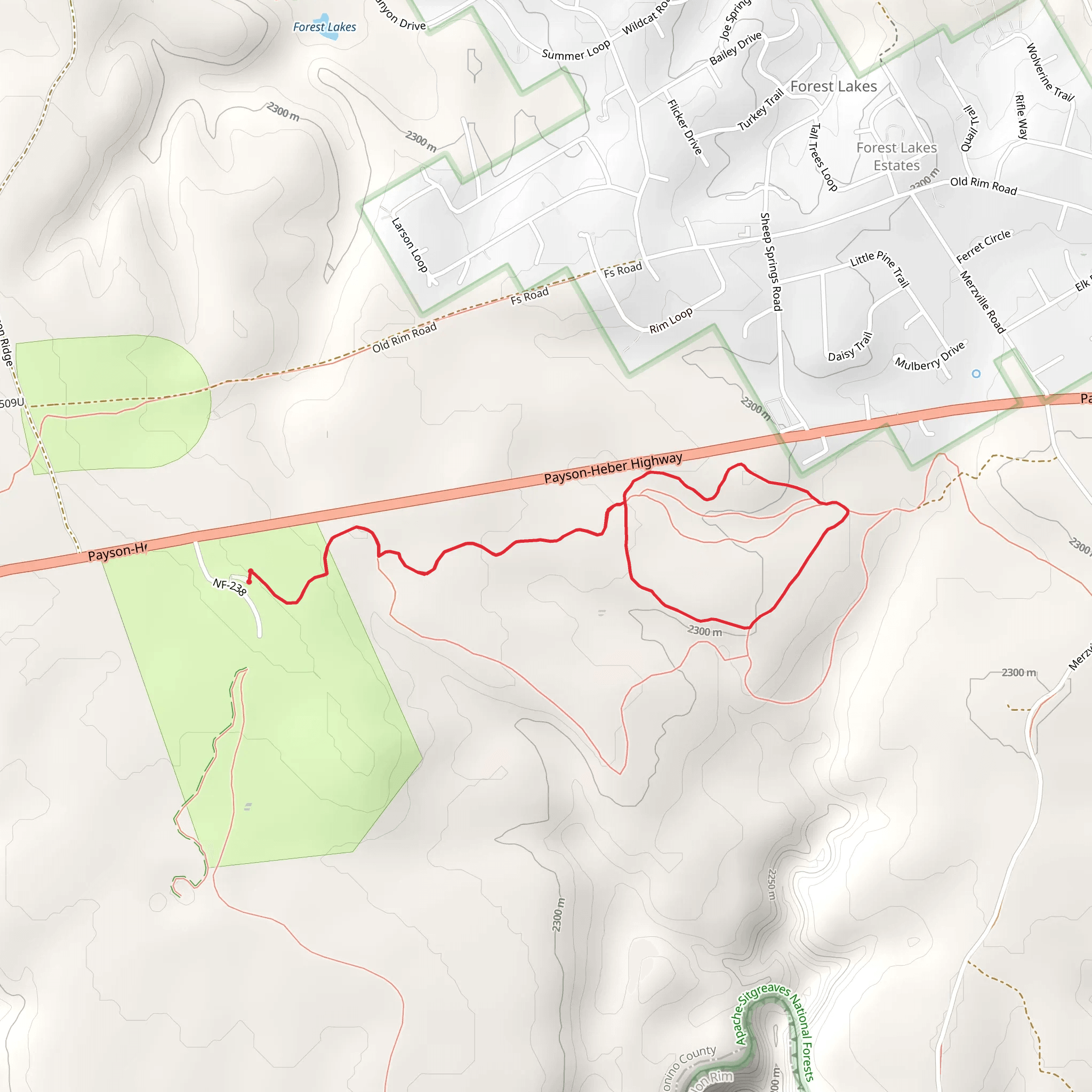 Spring Loop via Fellin Blue Trail mobile static map