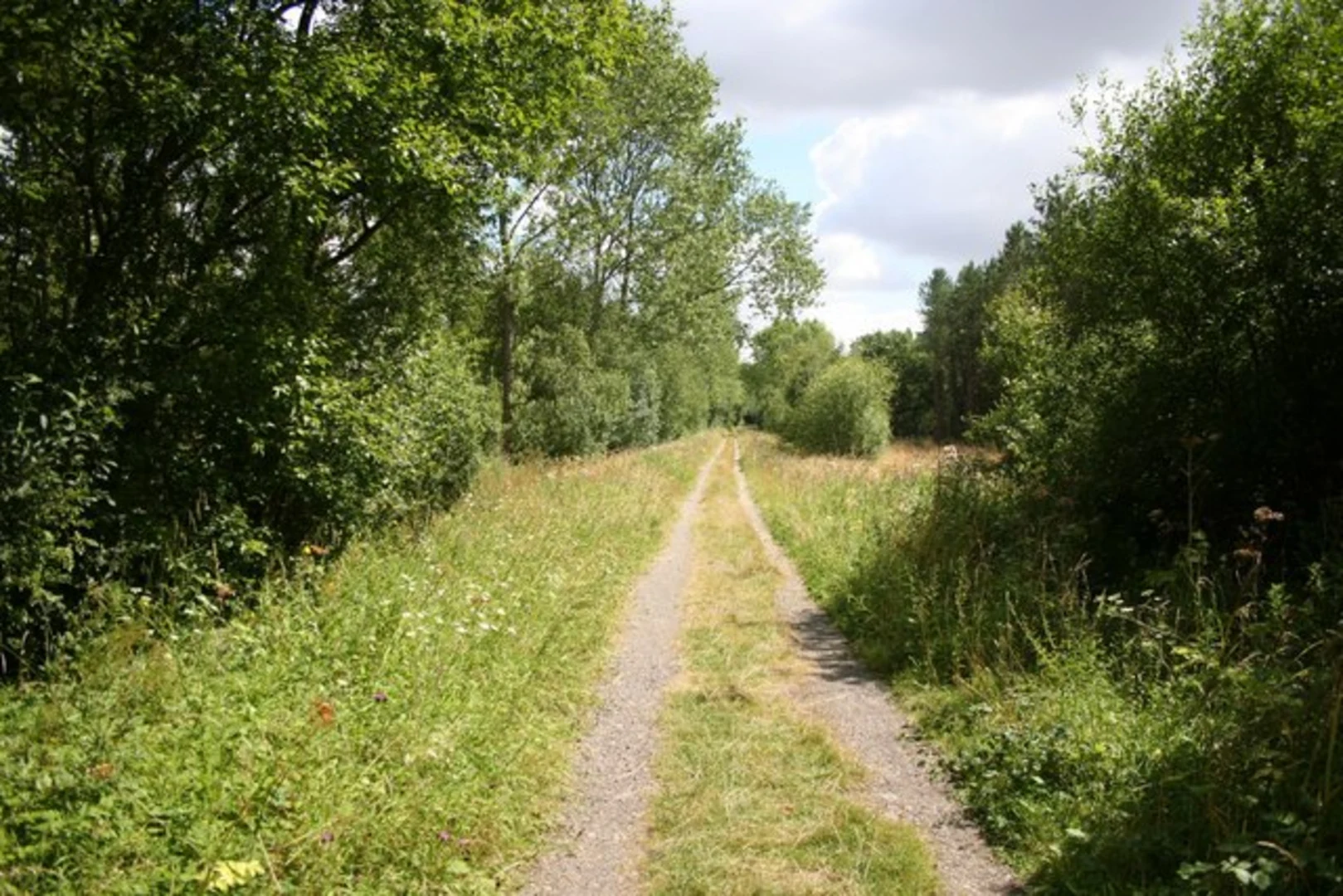 An image depicting the trail Chambers Farm Wood and its surrounding area.