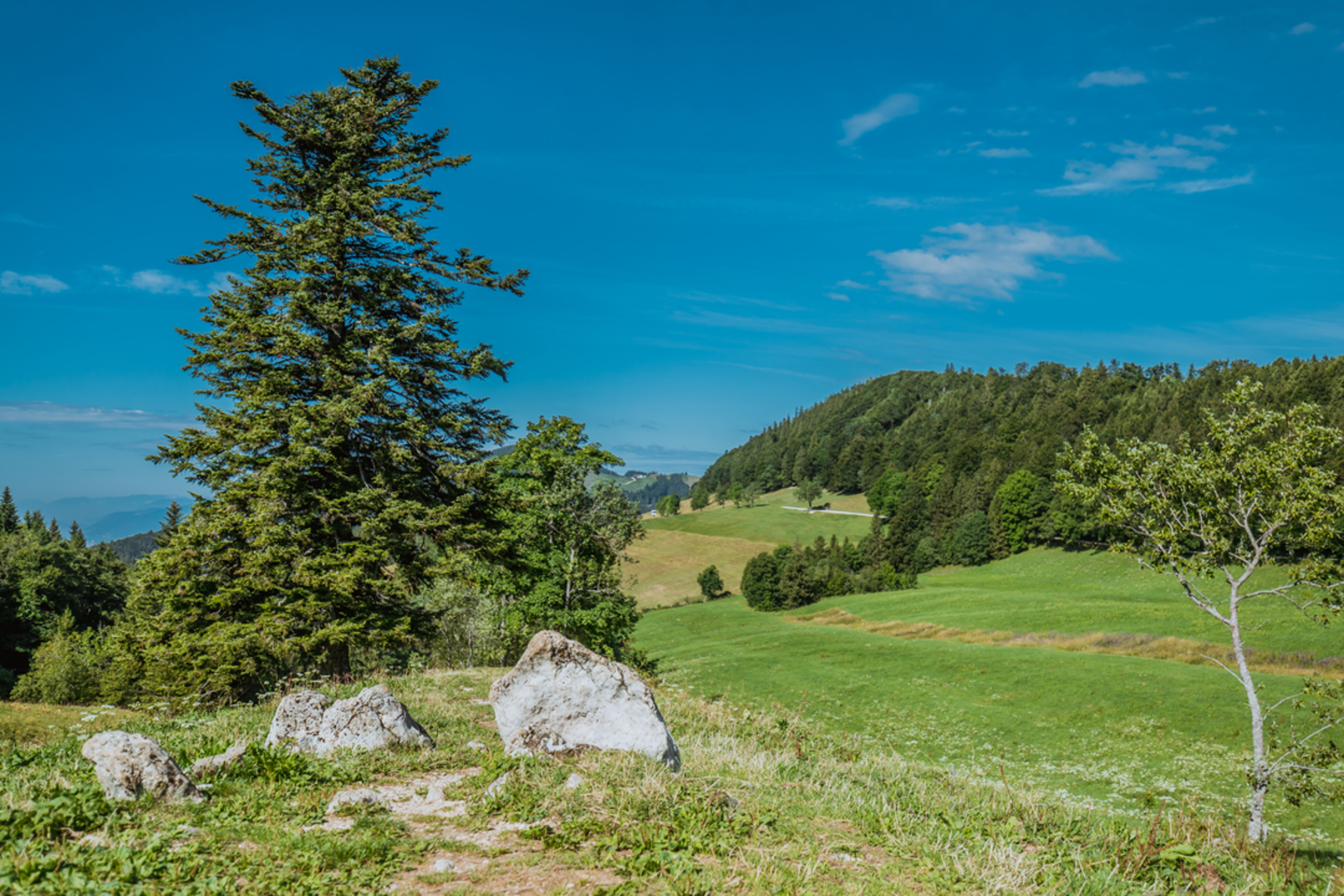 An image depicting the trail Balmberg - Röti Loop Trail and its surrounding area.