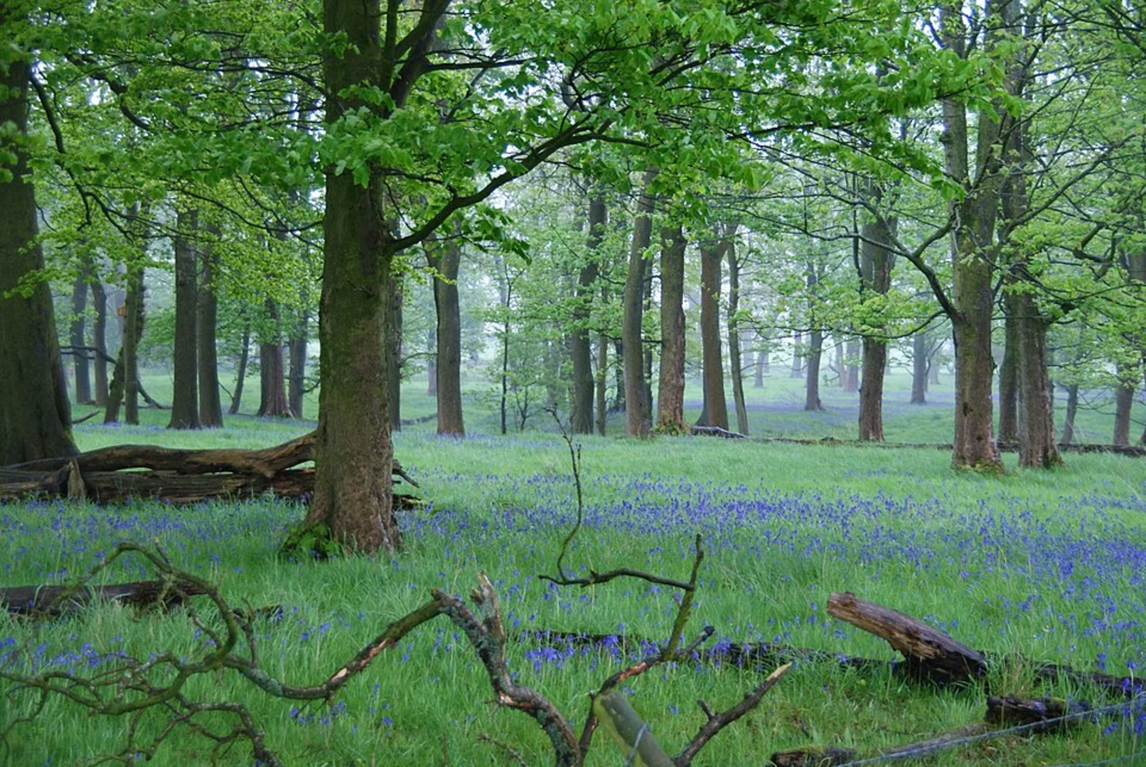 An image depicting the trail Padiham Walk and its surrounding area.