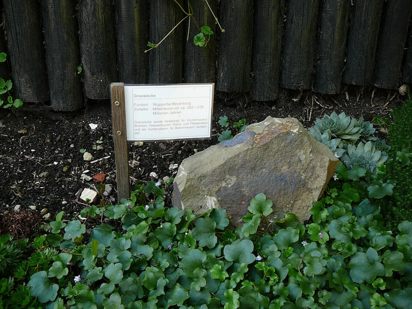 An image depicting the trail Wasserfelsen and Florianbrunnen via Geologischer Lehrpfad and its surrounding area.