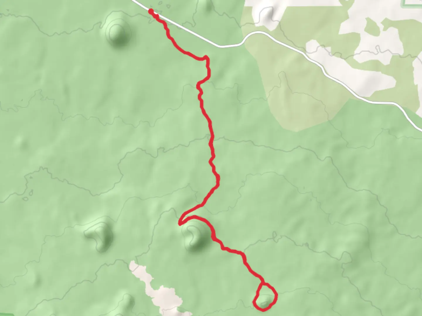 An image depicting the trail Swamp Wells Trail Number 61 and its surrounding area.
