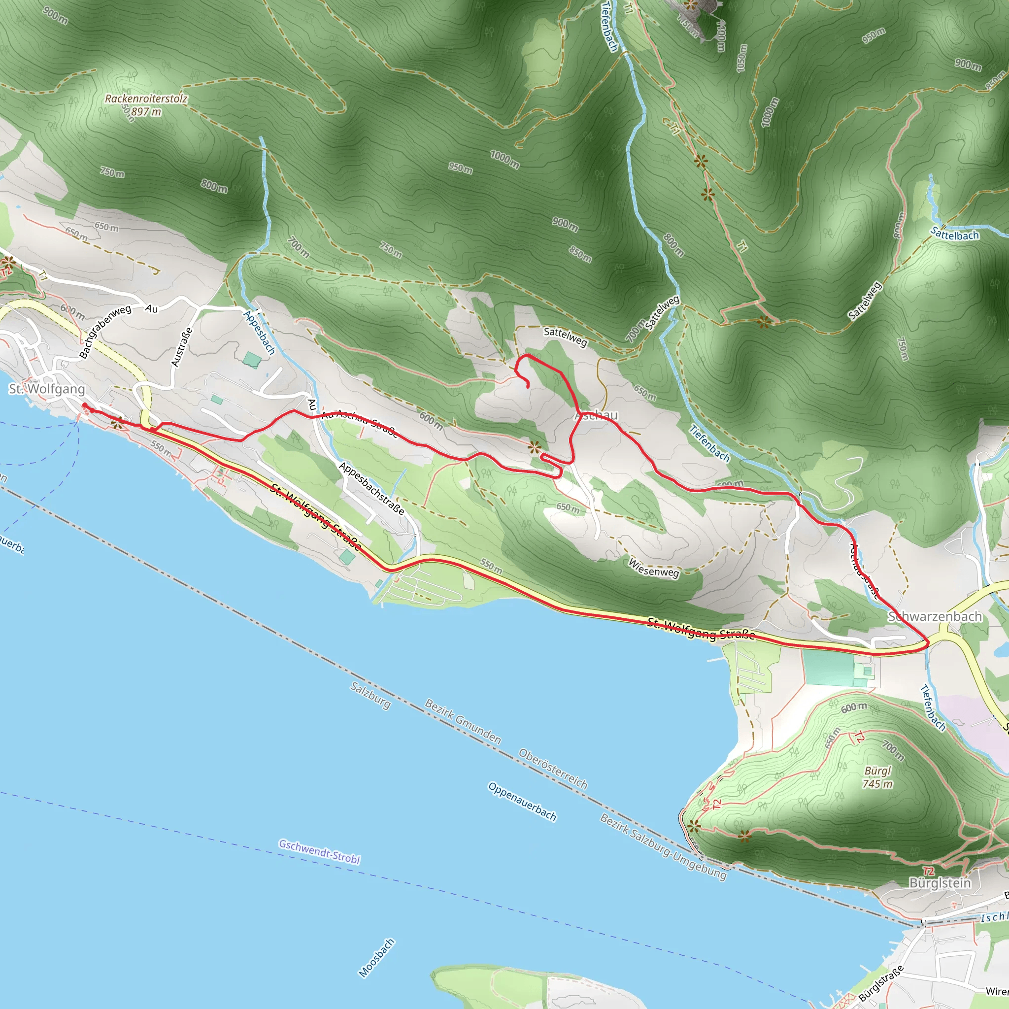 Aschau Loop Walk mobile static map
