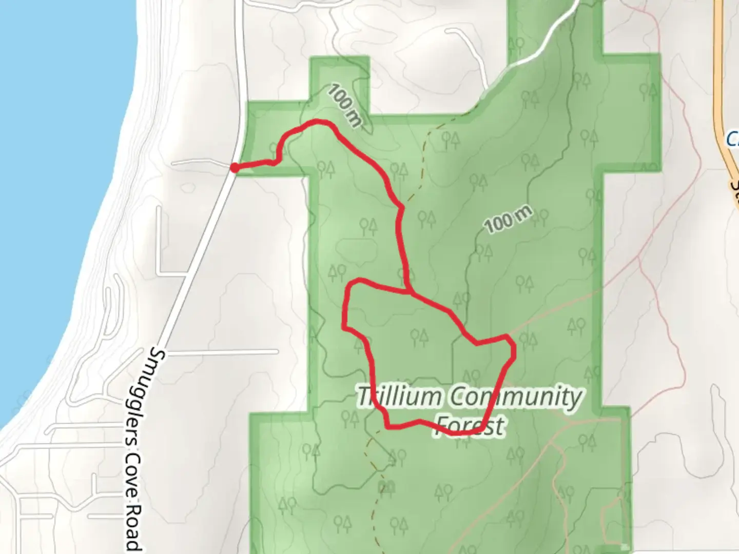 An image depicting the trail Trillium Community Forest Loop from Smugglers Cove Road and its surrounding area.