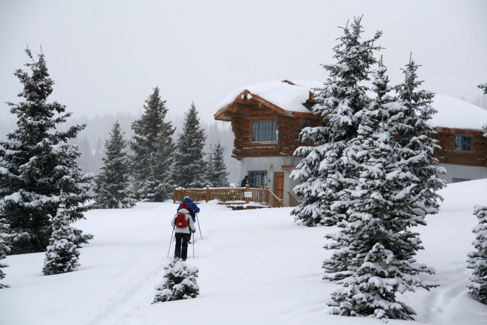 An image depicting the trail Shrine Ridge Trail and its surrounding area.