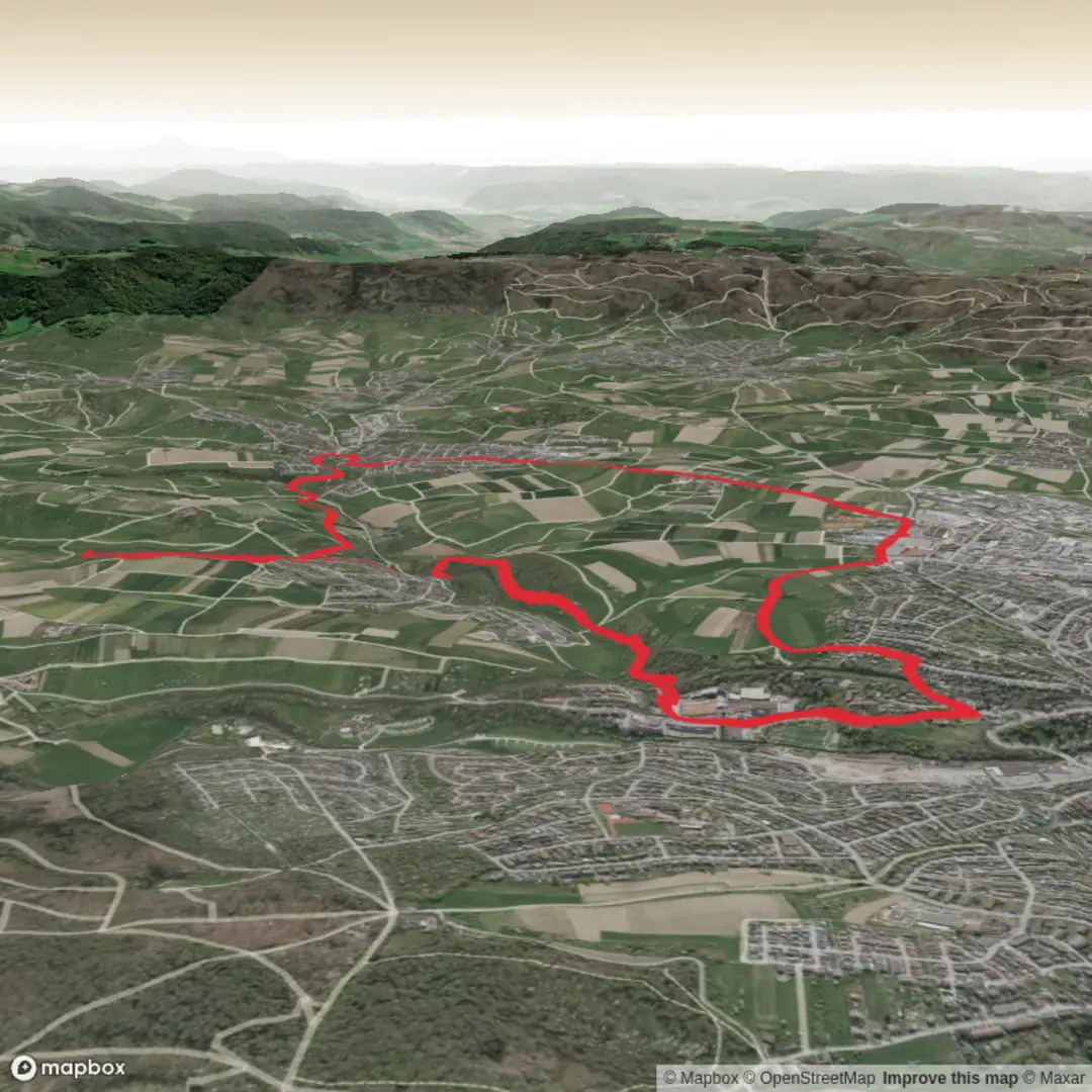An image depicting the trail Schneckenbuehl and Ungeheuerhof Loop and its surrounding area.
